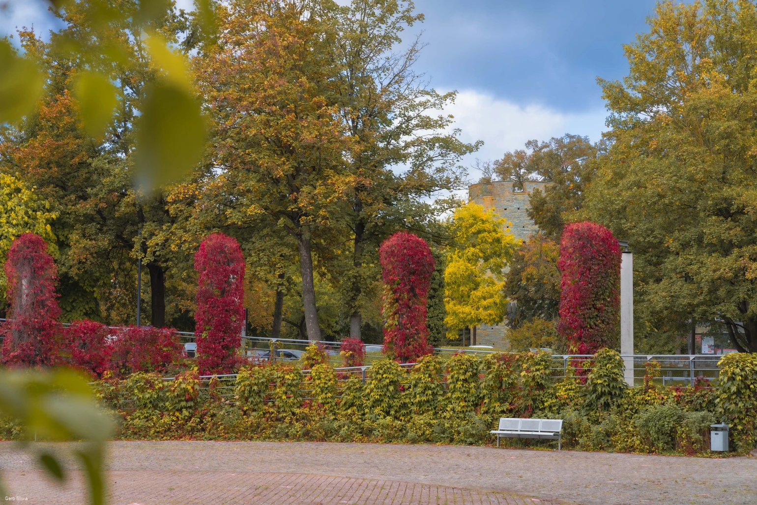 20231015_Kattenturm im Herbst.jpg 20231015_Kattenturm im Herbst.jpg