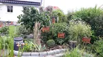 8_HobbygartenLüdtke