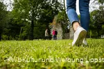 Burgruine Lipperode