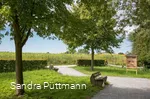 Naturschutzgebiet Woeste bei Bad Sassendorf