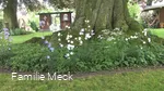 LIPPETAL - Mecks Landgarten (Meck) (1).JPG