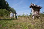 So-Hattrop-8516.jpg